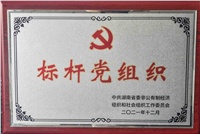 公司黨支部獲“湖南省兩新領(lǐng)域標(biāo)桿黨組織”榮譽稱號